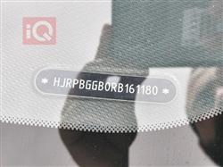 جيتور داشينج